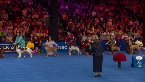 2025 NDS: Sporting Group winner