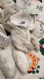 Oyster Shells for Crafts ( Set of 30) - Etsy