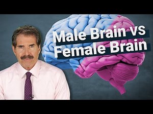 The Science: Male Brain vs Female Brain