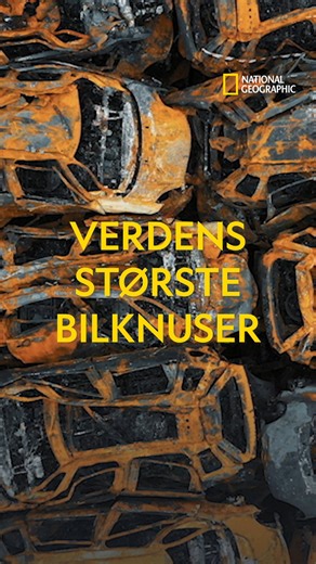 En bilknuser der kan tage op til 450 køretøjer i timen? Lær mere om verdens største bilknuser og andre gigamaskiner i den helt nye sæson af "Colossal Machines" hver torsdag kl. 22 på National Geographic. | National Geographic