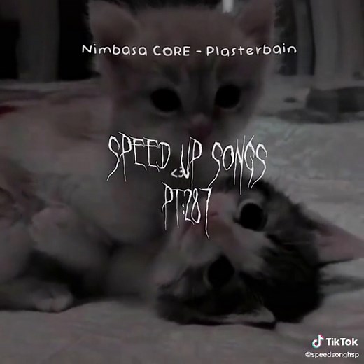 Nimbasa CORE - Plasterbain Music Video