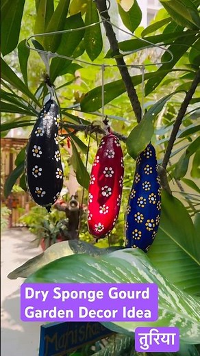 Garden Decor Using Dry Sponge Gourd | Creative DIY Craft