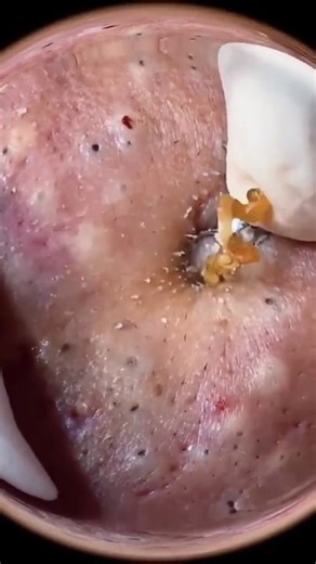 The BEST Tik Tok Pops!