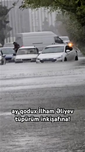 Ölkəmiz batır! Peysər İlham Əliyev milyonları oğurlayıb və heç bir iş görməyib!