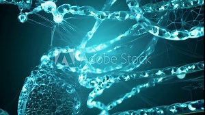 Exploring a series of interconnected processes in cellular biology