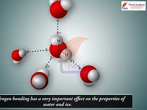 Hydrogen Bonding - Class 11 Chemistry Chapter 4 Chemical Bonding and Molecular Structure