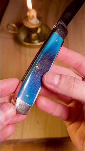 CASE Trapper 🇺🇸 quick knife overview #knifereview #caseknives