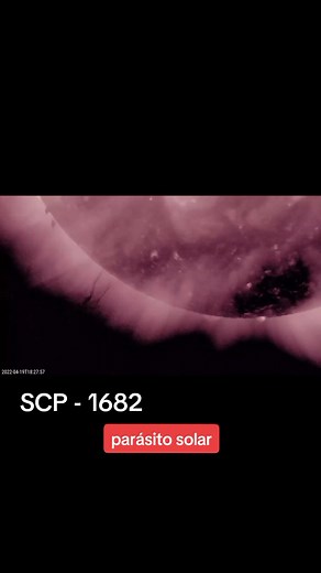 Centesimo Mono on TikTok