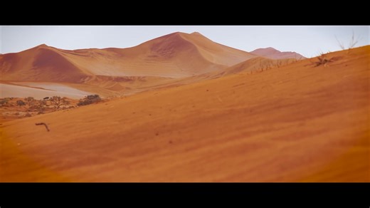 自然风光：狂野纳米比亚-Panasonic GH5 (4K 422 10bits) WILD NAMIBIA