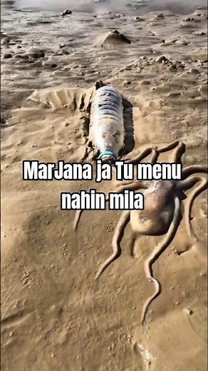 chhodana Nahin Tera Rasta Nahin To Main Mar Java #song #bollywood #trending#love#funny#viral#video