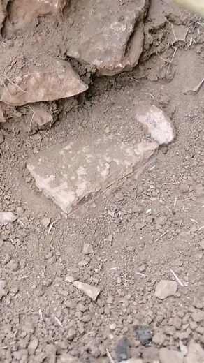 Found Hidden Treasure Using a Metal Detector! 🪙💰 #TreasureHunter #Adventure #Treasure #Gold #MetalDetector #FoundTreasure #TreasureHunt #HiddenGold #DiggingForGold #TreasureDiscovery #SearchForTreasure #fyp #reels #shorts #viral