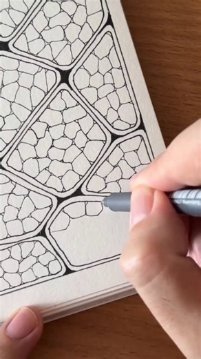 Meder on Instagram: "Easy Zendoodle tutorial. This pattern resembles a paving stone #drawing #doodling #zendoodling #art #pattern"