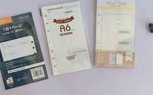 小狮子｜聊聊我手中的活页内芯（一日一页）｜jamie｜never｜franklin planner（FC）