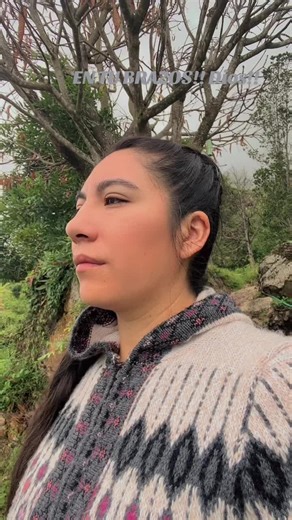 Déjame Llorar: Alabanza de Digna Meza