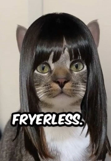 Hilarious Cats: Chill Cat Guy and Evil Larry Memes
