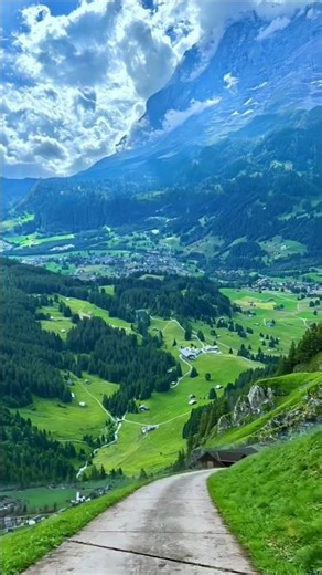 Don't skip... This beautiful scenery feels unreal ☺️🌿