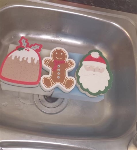 Satisfying Sponge Squeezing for Christmas Cheer