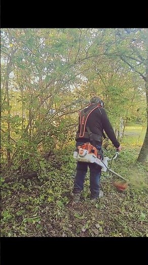 Ultimate Stihl FS561 BrushCutter #stihl #brushcutter #beast
