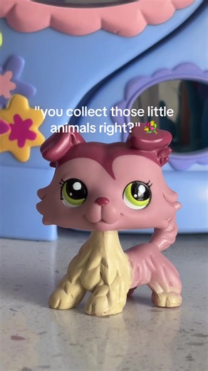 watch til the end for a cat fight!! 🫶🏼 #lps #lpstiktok #lpscollection #lpstok #fyp