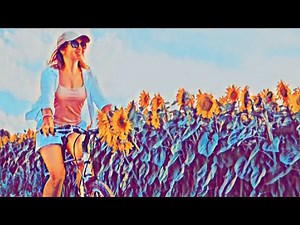 Premiere Elements 2023: Press play for creativity.