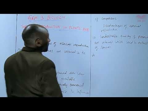 Advantages of Asexual Reproduction