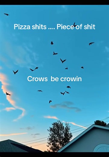 I am the pizza crow