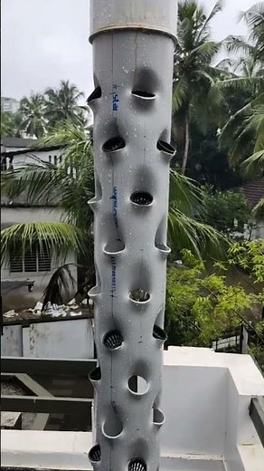 vertical tower Aeroponics #aeroponics #hydroponics ‪@thehydroponicsguy2379‬ ‪@HydrofarmTVIndo‬