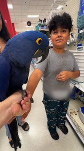 I'd love to meet a macaw at a supermarket! 🐦 | Furry Tails