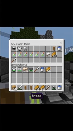 my Minecraft friend's server #realme