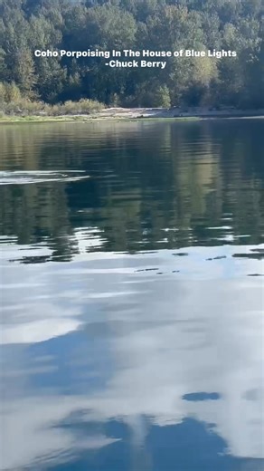 Fishing for Coho salmon migrating up the Columbia River in October, 2025. #salmonfishing #columbiariver #reflectionphotography #chuckberry | Chris Winn
