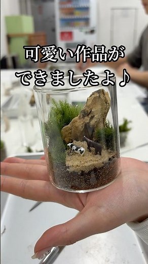 レクリエーション苔テラリウム講座を行ないました。 #苔テラリウム #ワークショップ