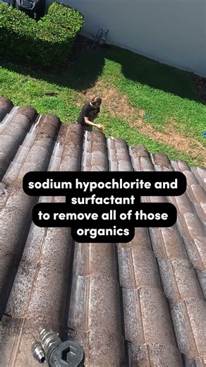 Pressure Washing a Tile Roof #powerwashing