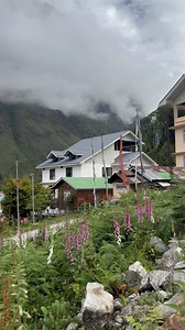Todayupdate29/may | Kim Sikkim