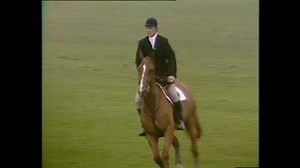 #OTD 1982: Detective Hutch swapped South California for West Sussex and his Ford Galaxie 500 for a horse. | BBC Archive