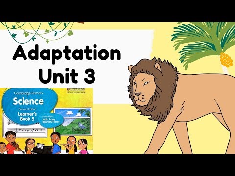 Cambridge primary science grade 5 unit 3 adaptation