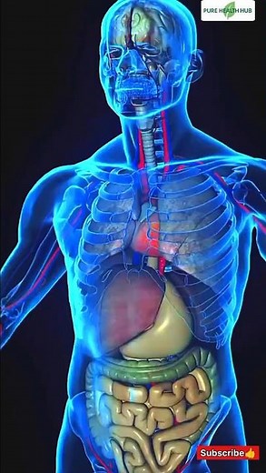 Top 10 Science-Backed Benefits of Fasting | Boost Health, Energy & Longevity Naturally #shorts