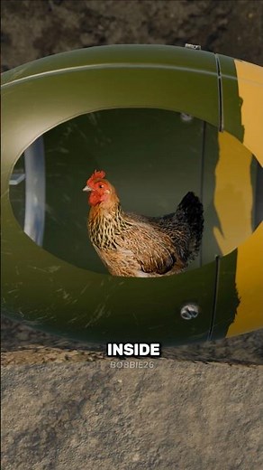 The Chicken Nukes Of The Cold War 😱