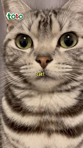 How a girly girl handles the litter box My secret to staying graceful #tobo#tobotrashbags #selfcare