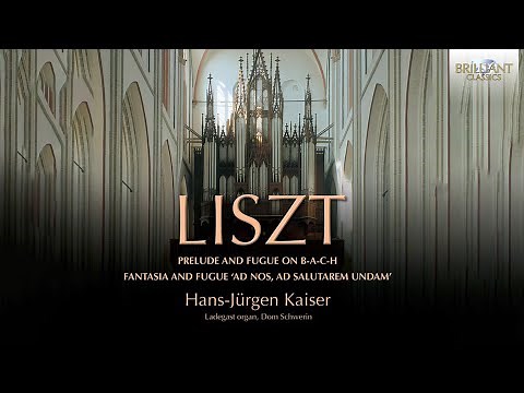 Liszt: Organ Works
