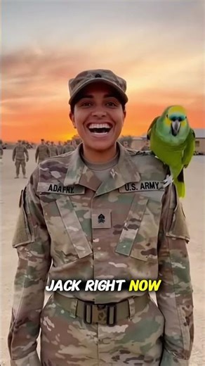 Parrot Takes Over Army Training 😂🦜 | Drill Sergeant Parrot vs Soldier