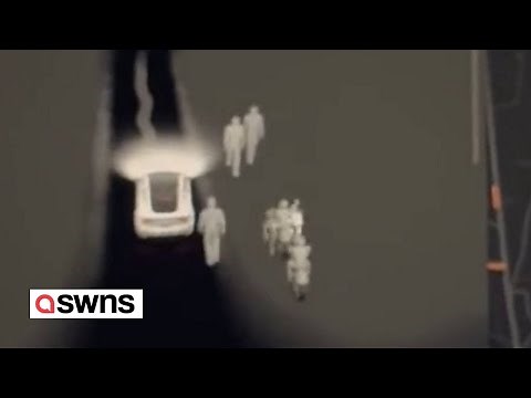 Eerie moment Tesla detected mysterious figures swarming graveyard | SWNS