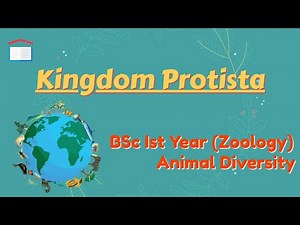 Kingdom Protista- Phylum Protozoa |Zoology| BSc Ist Year (Animal Diversity)