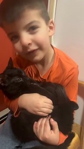 Sometimes you just need the loop that comes with Live Photos. Money Penny is known as “the baby” around here because she loves to be snuggled and cuddled like a baby! She can often be found with one of the kids because she seeks out the attention and snuggles as often as possible! And they’re happy to give her all the love. She’s so ready for a family of her own! #thisisfostering #fosteringsaveslives #fosterkitten #kittenfoster #foreverhomeneeded | Sophia L’Orange Kitten Rescue