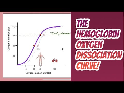 Hemoglobin Function and the Hemoglobin Oxygen dissociation curve