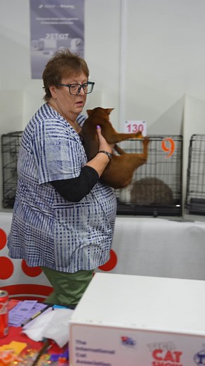 5.5K views · 140 reactions | One of the oldest and most enchanting...