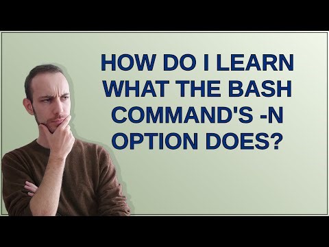 Unix: How do I learn what the bash command's -n option does?