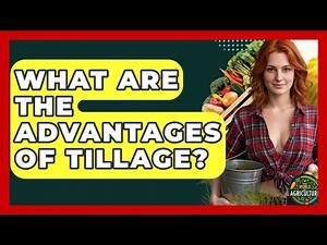 What Are The Advantages Of Tillage? - The World of Agriculture