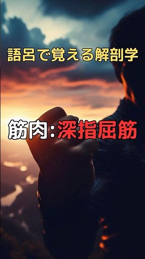 語呂で覚える解剖学 筋肉:深指屈筋 #柔道整復師学生 #理学療法士 #看護学生 #shorts