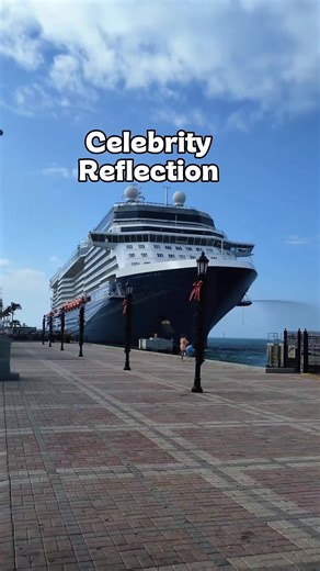 Ultimate Guide to Celebrity Reflection: Tips and Highlights