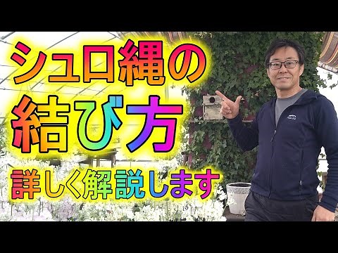 [ガーデニング] 垣根結び(シュロ縄の縛り方)「キャリア28年のプロガーデナーが解説する男結びのやり方」